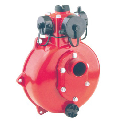 HGP20B